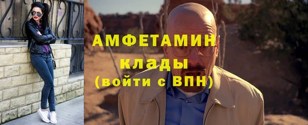 ГАЛЛЮЦИНОГЕННЫЕ ГРИБЫ Вязники