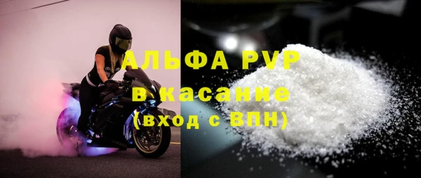 ГАЛЛЮЦИНОГЕННЫЕ ГРИБЫ Вязники