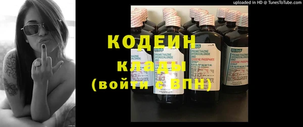 дурь Вяземский