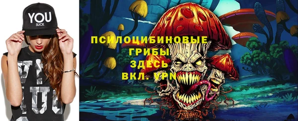 ГАЛЛЮЦИНОГЕННЫЕ ГРИБЫ Вязники