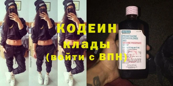 дурь Вяземский