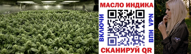 Купить  Минусинск  Дистиллят ТГК гашишное масло 