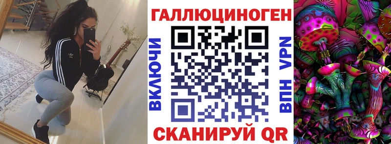 Купить закладки  Минусинск  Псилоцибиновые грибы мицелий 